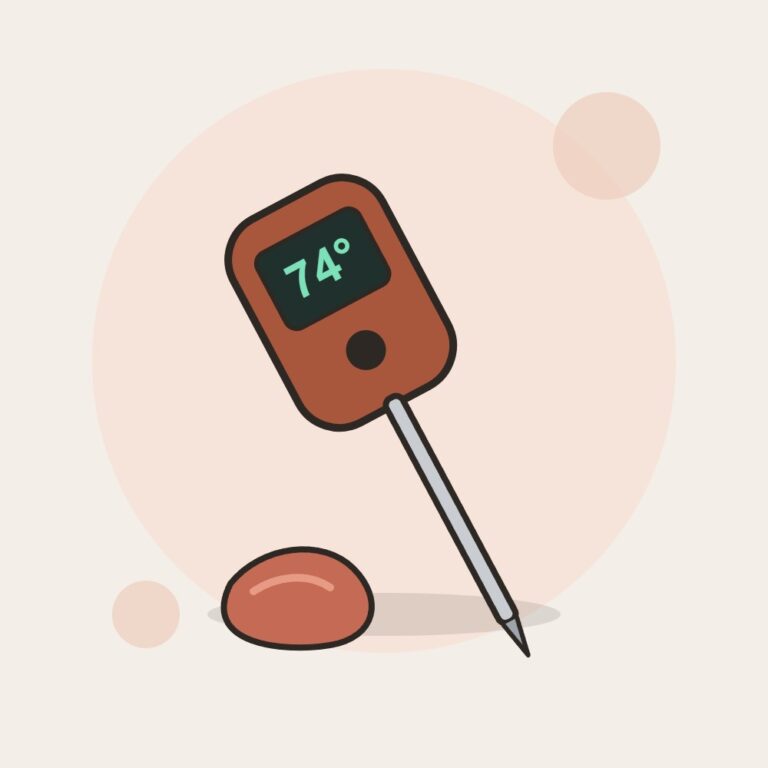 Instant-Read Digital Meat Thermometer